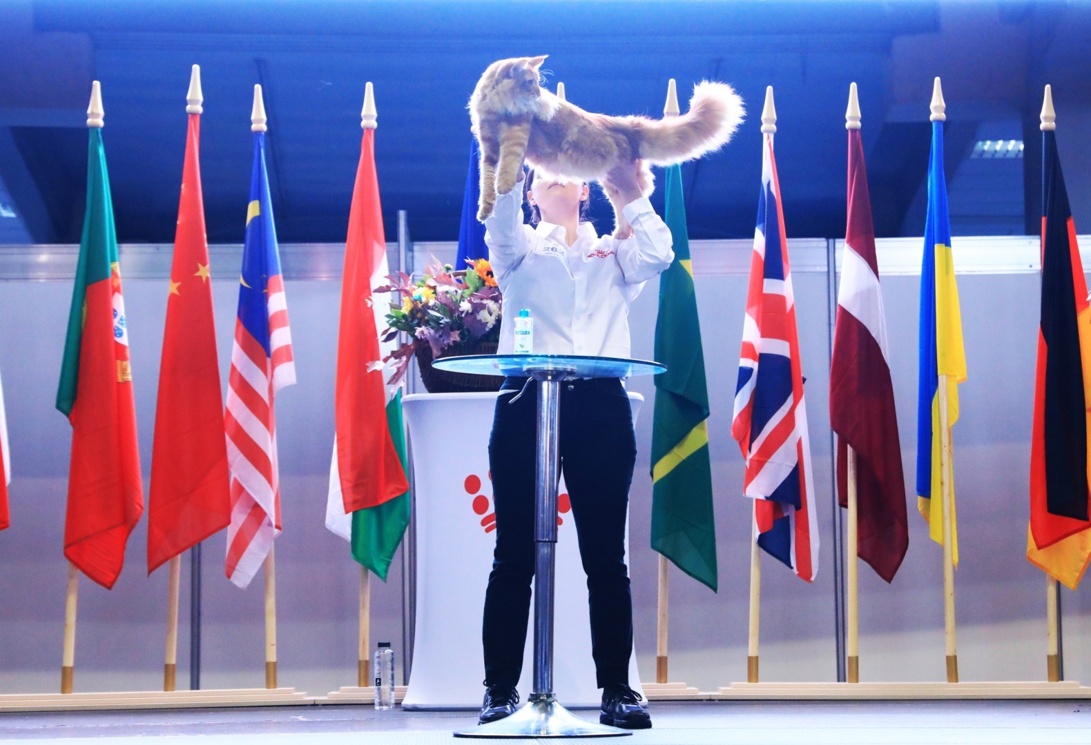 Campionatul Mondial Felin 2025