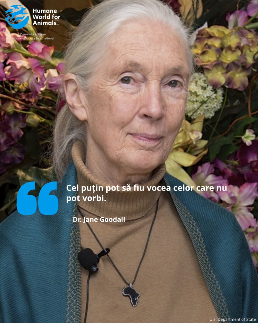 Dr. Jane Goodall