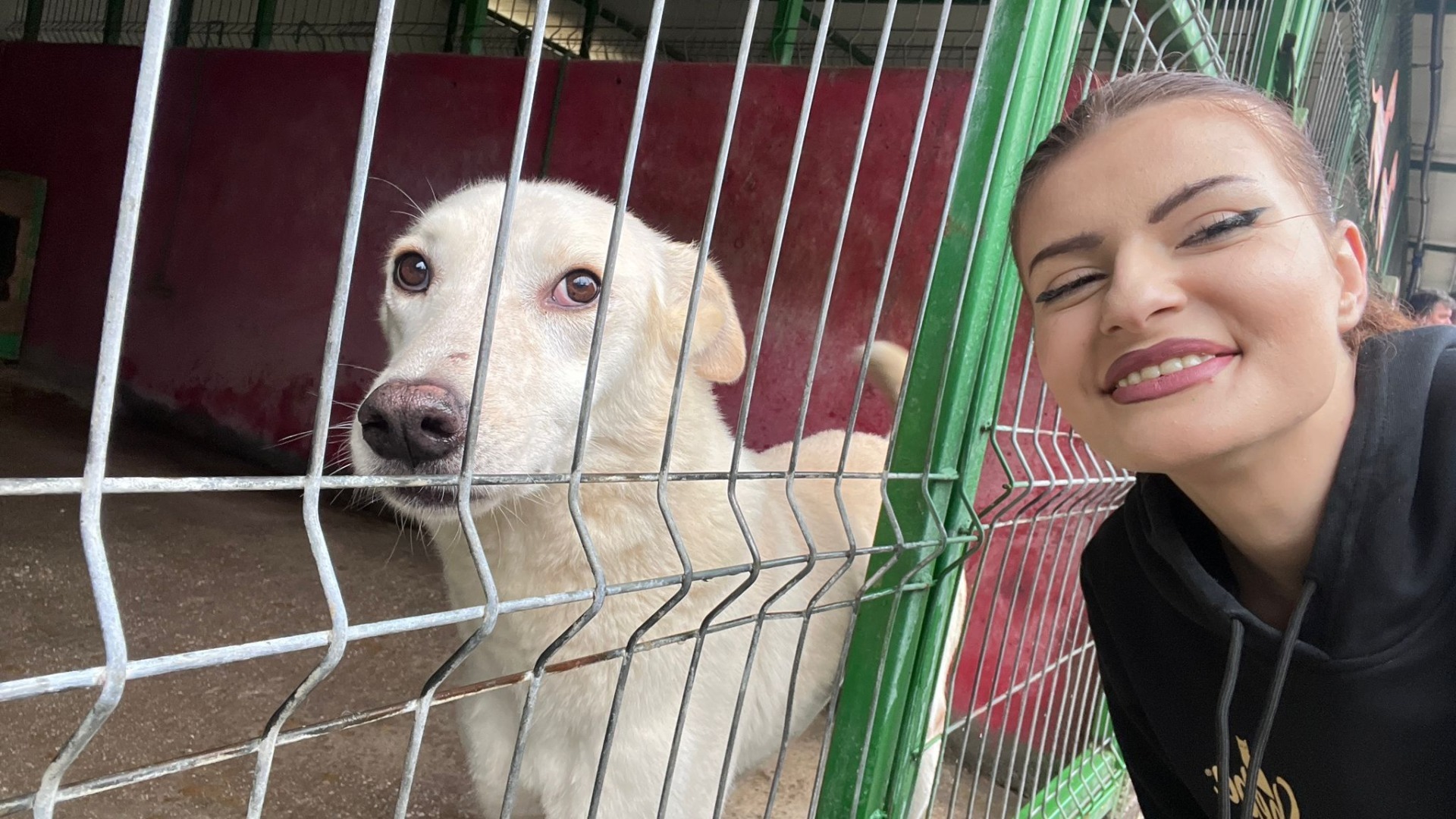 Eveniment Mars Adapostul Speranta