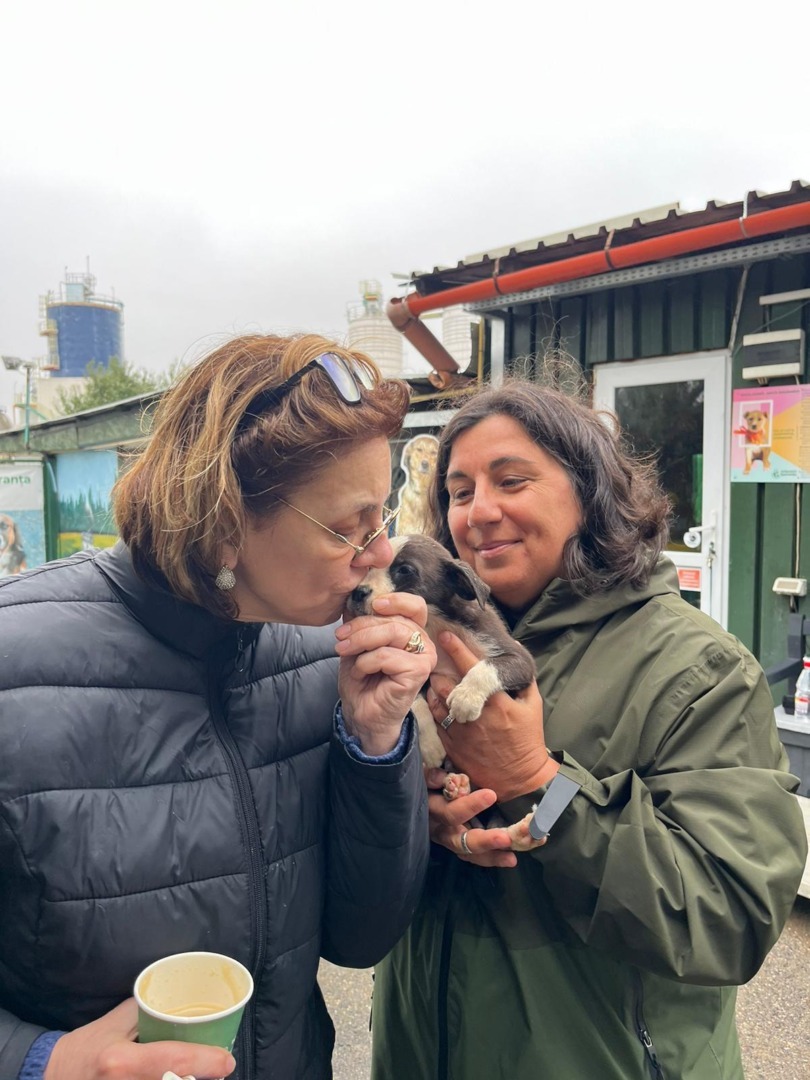 Adapostul Speranta Carmen Tanase caini