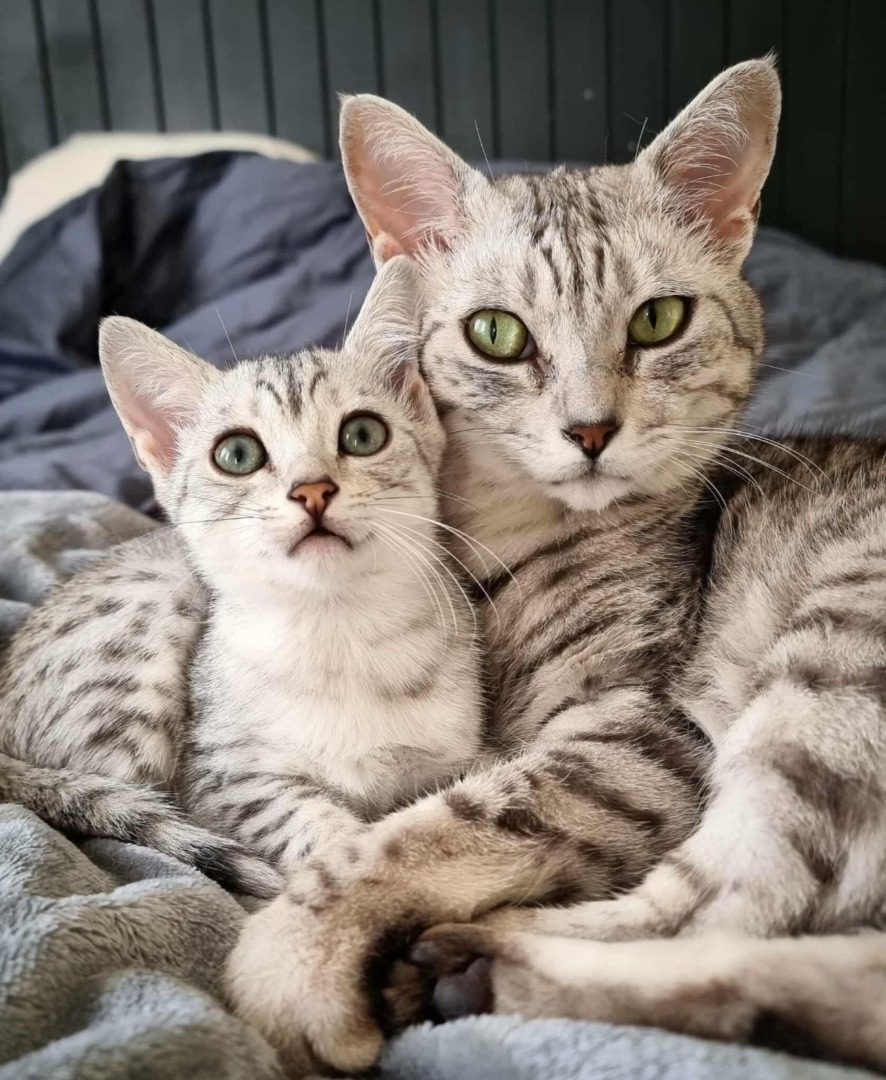 PHOTO-2025-10-10-09-00-21 (10)