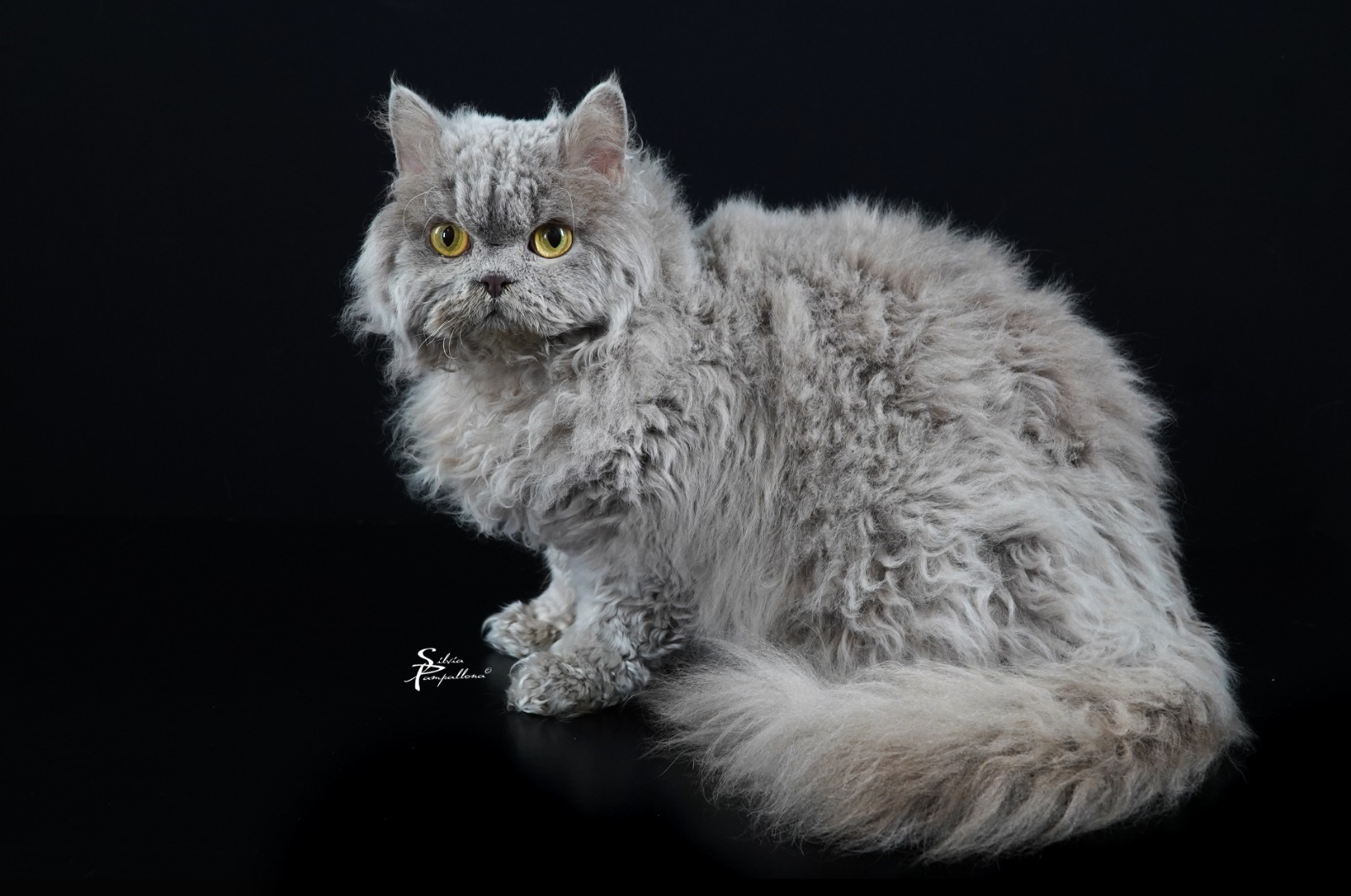 PHOTO-2025-10-10-09-00-21 (2)