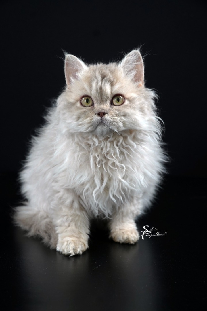 PHOTO-2025-10-10-09-00-21 (3)