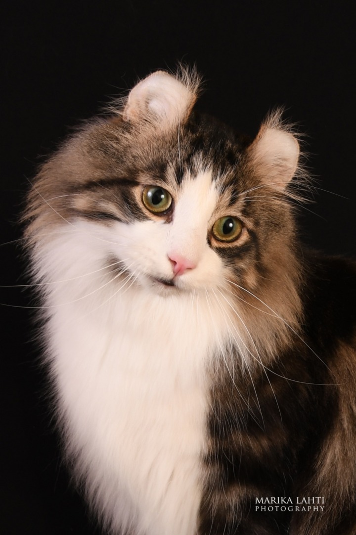 PHOTO-2025-10-10-09-00-21 (5)