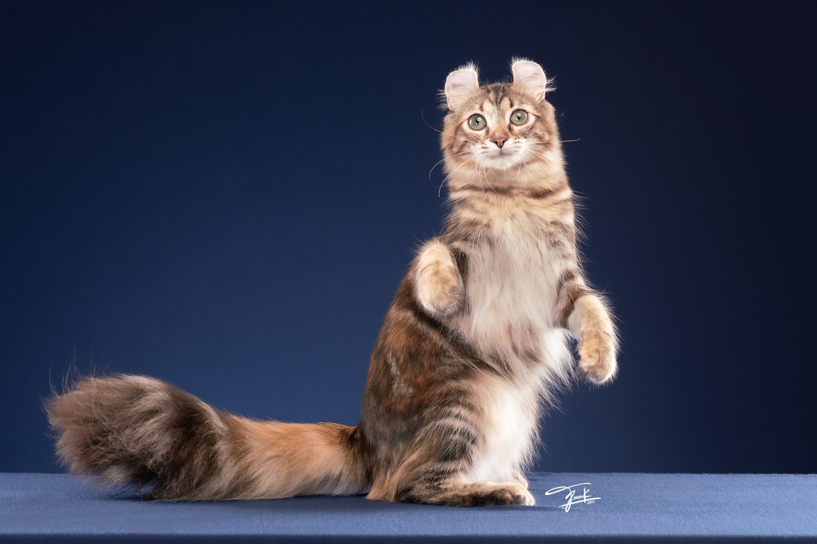 PHOTO-2025-10-10-09-00-21 (6)