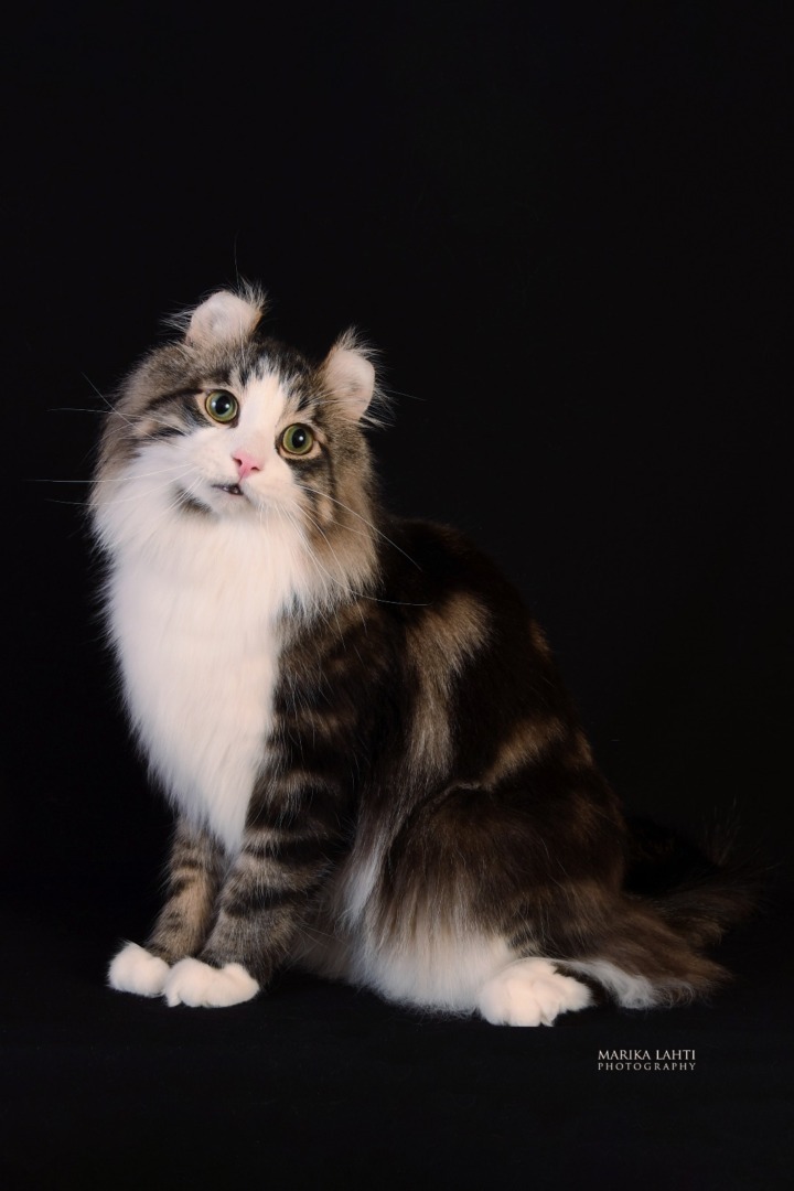 PHOTO-2025-10-10-09-00-21 (7)