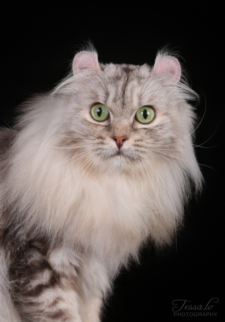 PHOTO-2025-10-10-09-00-21 (8)