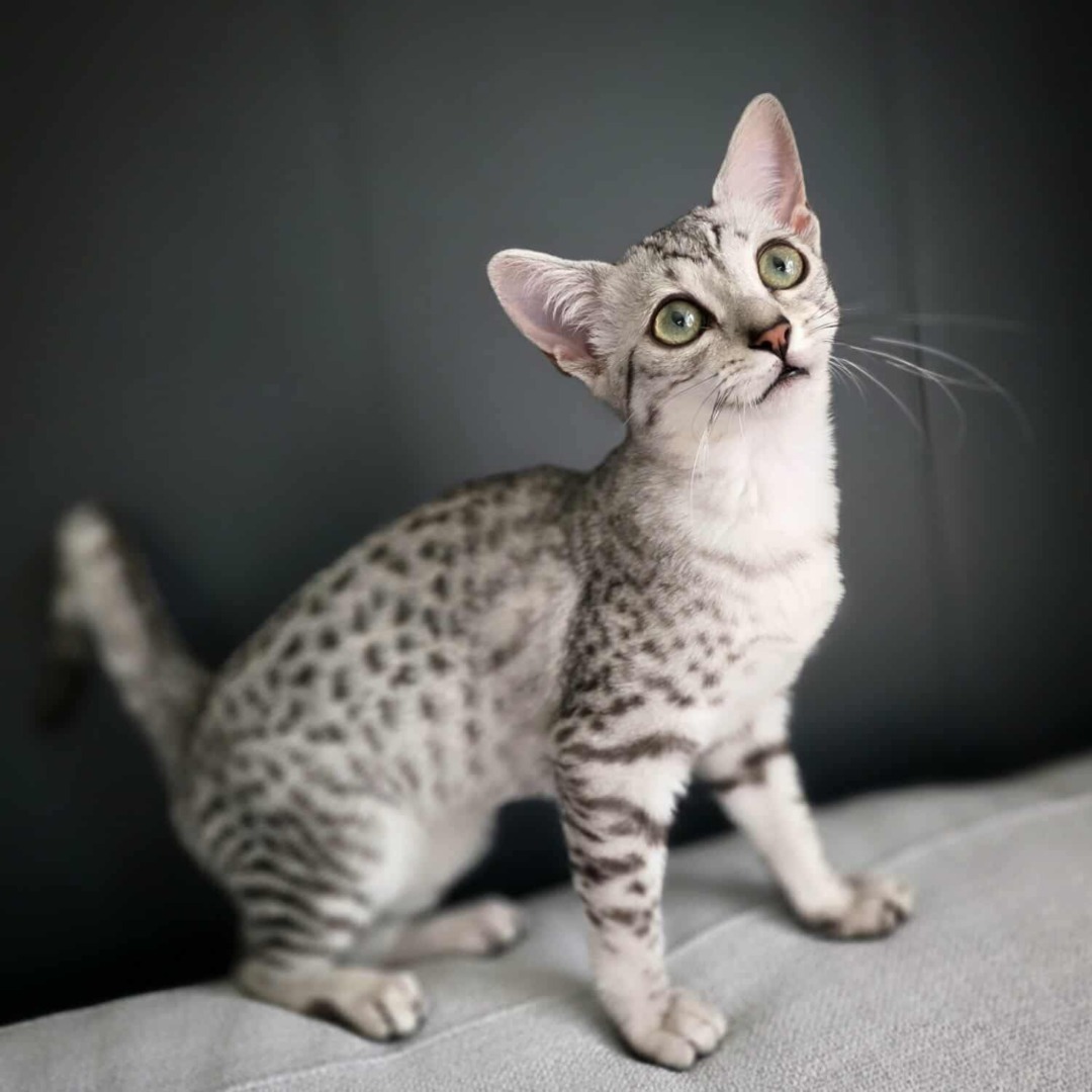 PHOTO-2025-10-10-09-00-21 (9)