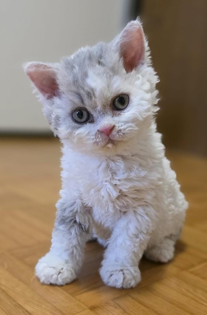 PHOTO-2025-10-10-09-00-21