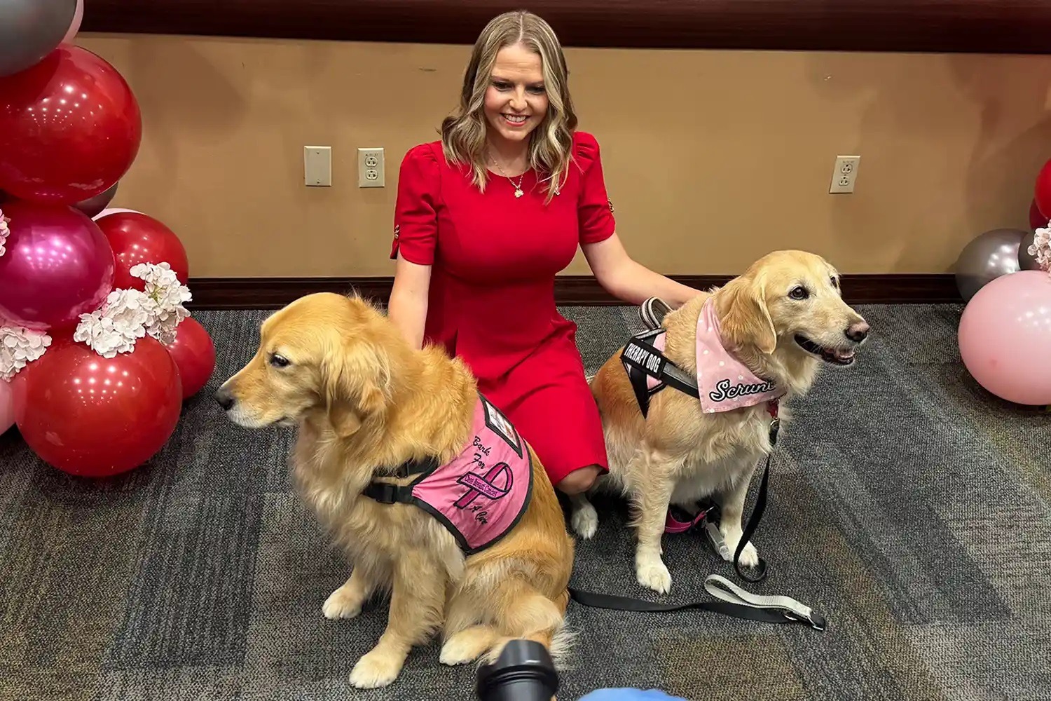 pacienta caini de terapie