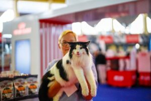 Pisică ținută în brațe la Campionatul Mondial Felin 2025