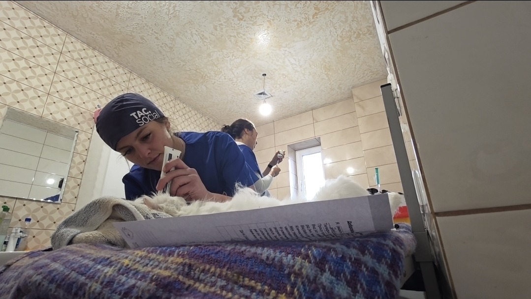 Screenshot_20251010_213834_Gallery (1)