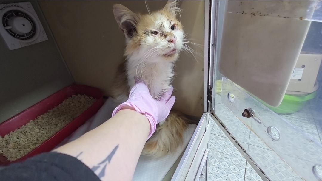 Screenshot_20251012_144629_Gallery