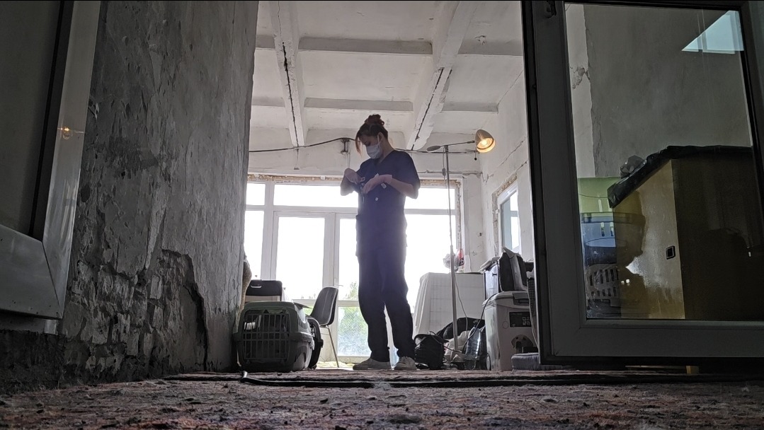 Screenshot_20251012_160724_Gallery