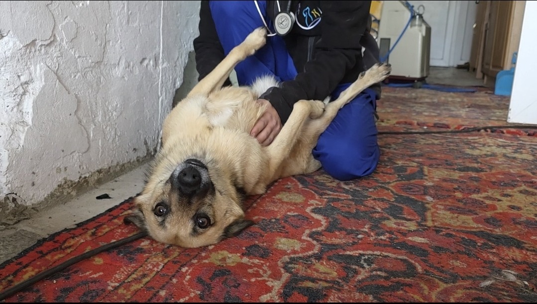 Screenshot_20251013_205235_Gallery