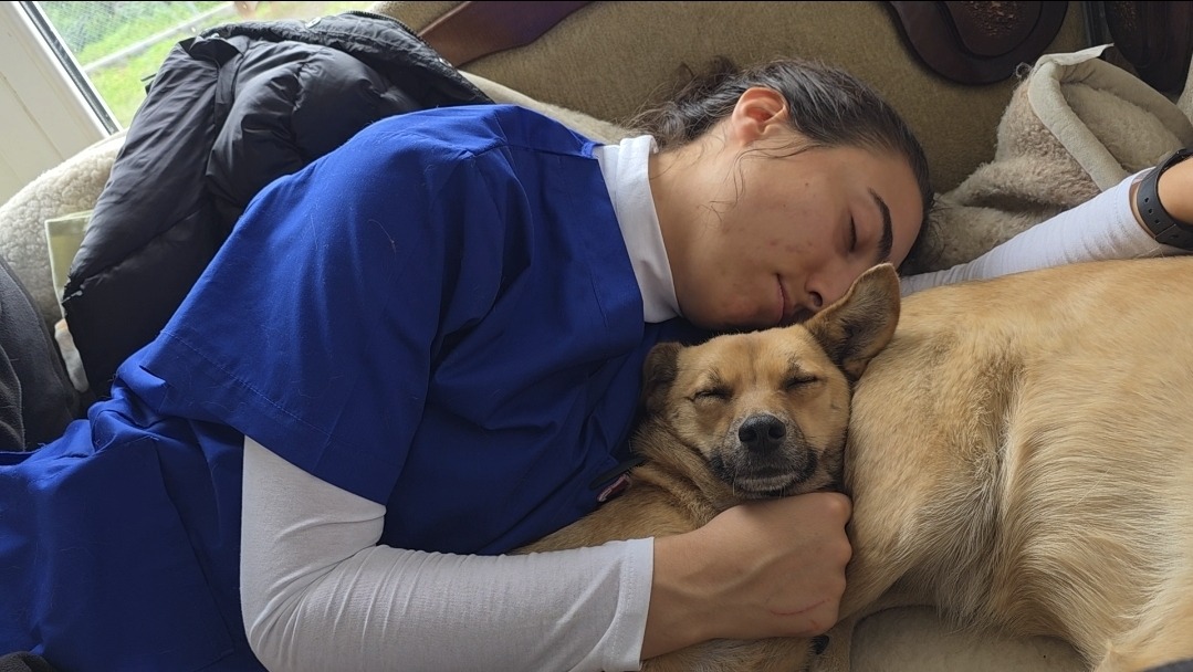 Screenshot_20251013_205351_Gallery