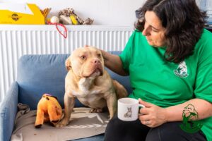 O femeie cu un caine pe canapea