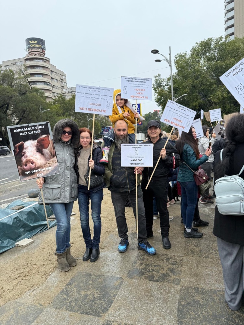 WhatsApp Image 2025-10-04 at 11.38.21