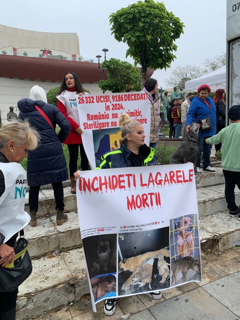 WhatsApp Image 2025-10-04 at 11.46.53