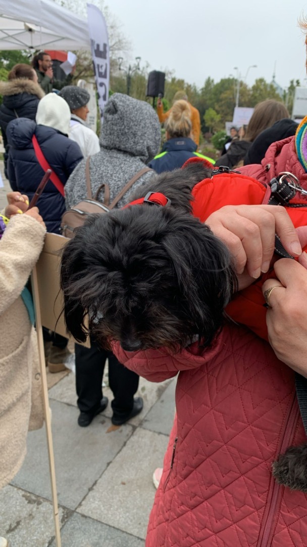 WhatsApp Image 2025-10-04 at 11.51.24