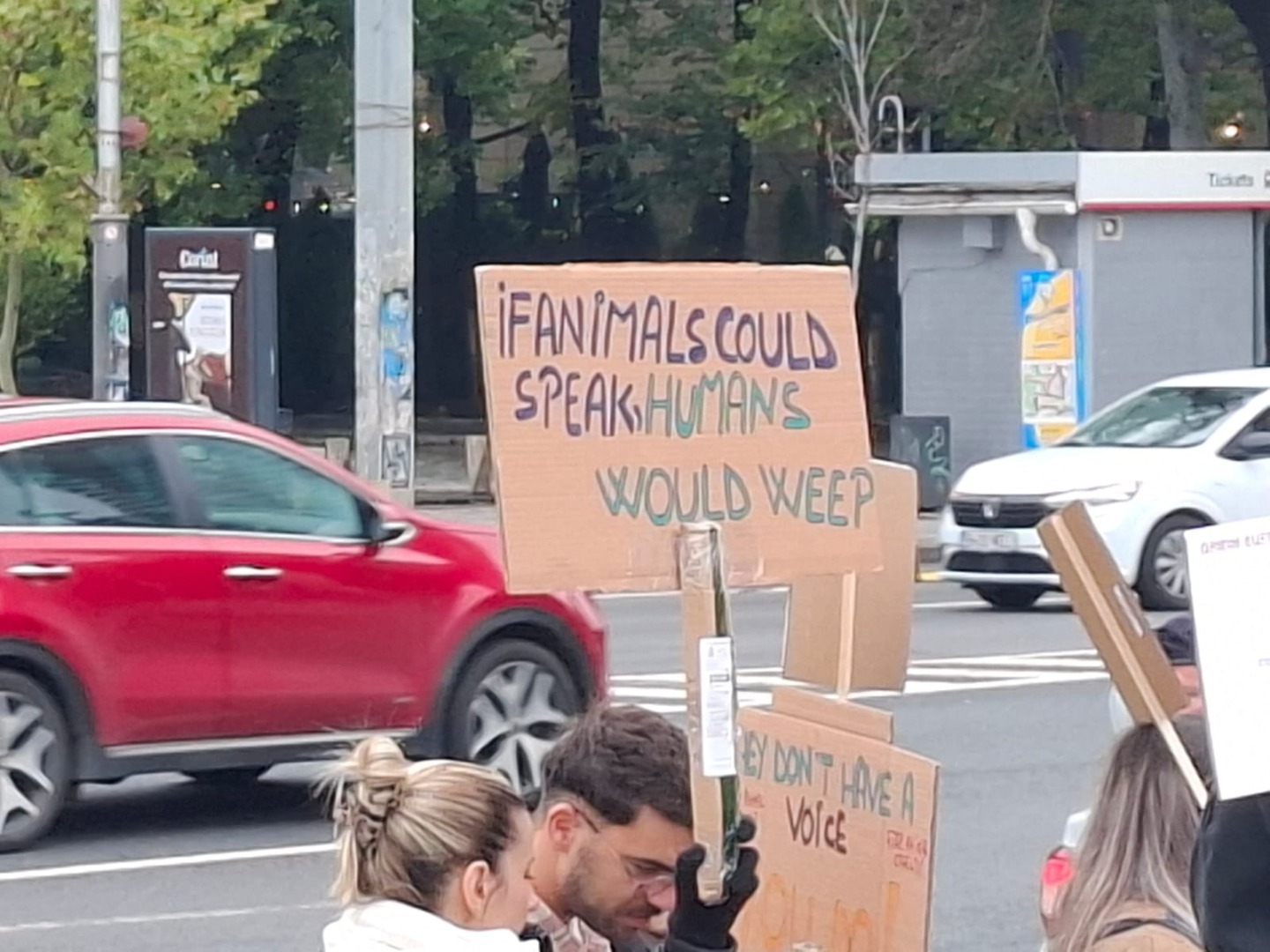 WhatsApp Image 2025-10-04 at 12.00.09