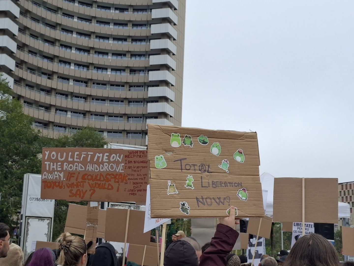 WhatsApp Image 2025-10-04 at 12.04.22 (1)