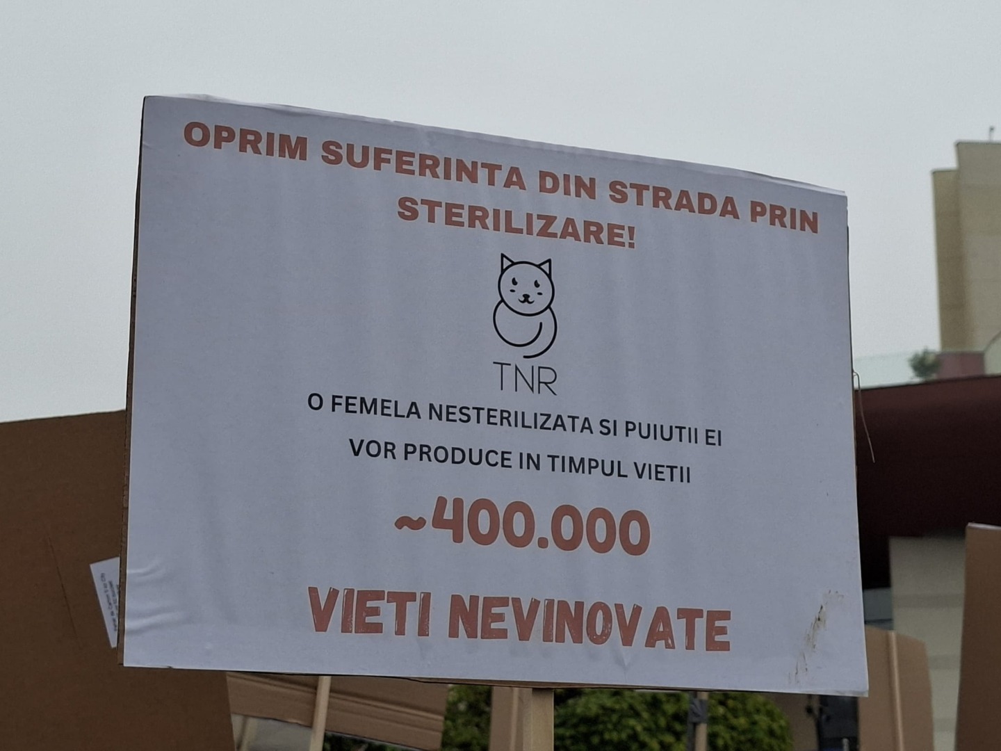 WhatsApp Image 2025-10-04 at 12.04.22