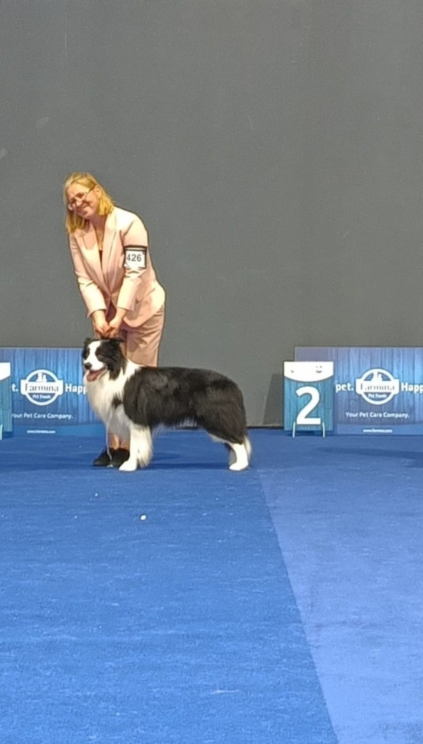 WhatsApp Image 2025-10-06 at 12.45.27 (1)