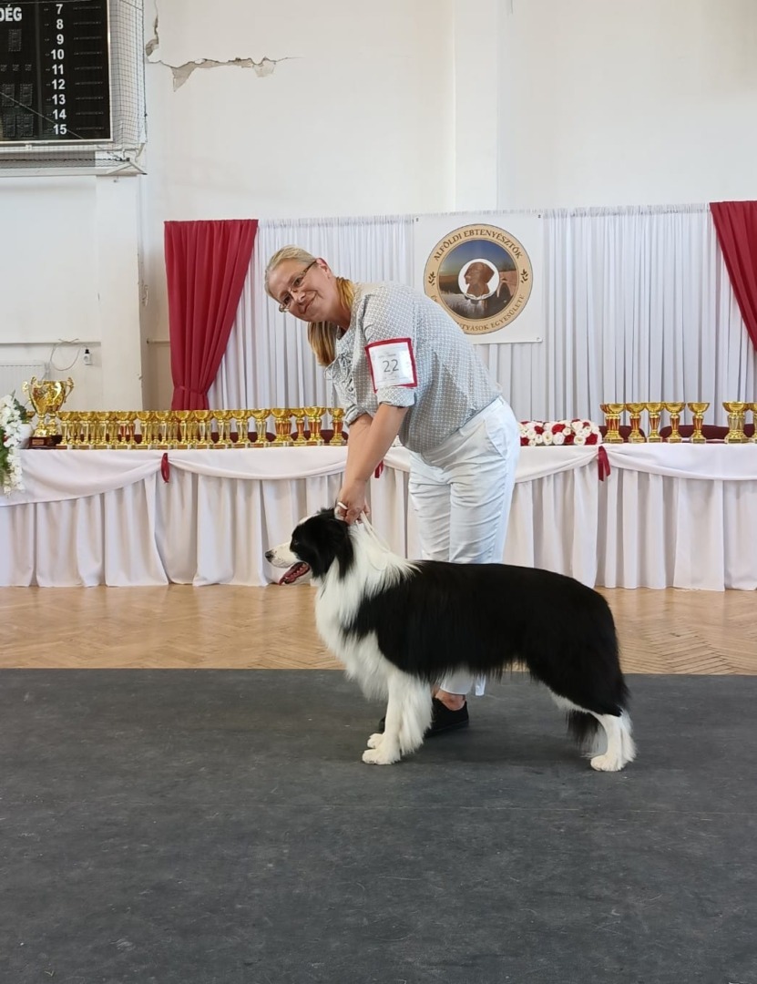 WhatsApp Image 2025-10-06 at 12.45.27 (2)