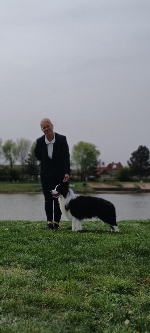 WhatsApp Image 2025-10-06 at 12.45.27