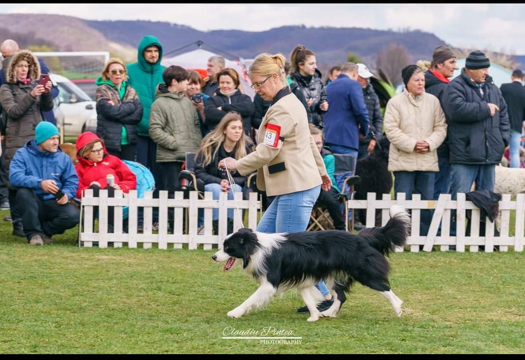 WhatsApp Image 2025-10-06 at 12.45.28 (2)