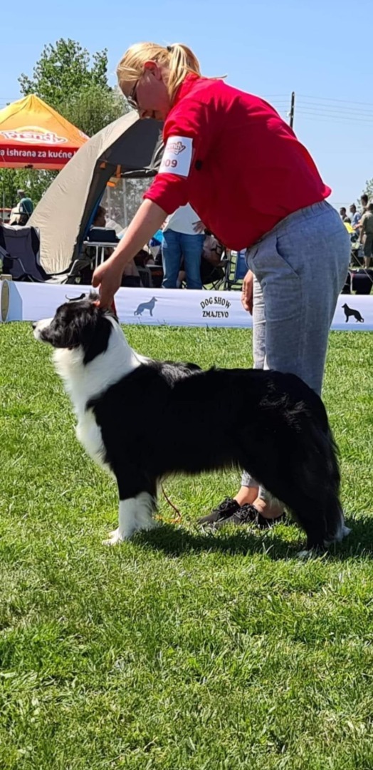 WhatsApp Image 2025-10-06 at 12.45.28 (3)