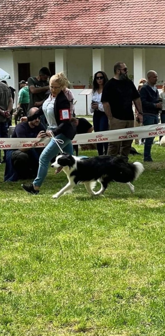 WhatsApp Image 2025-10-06 at 12.45.28 (5)