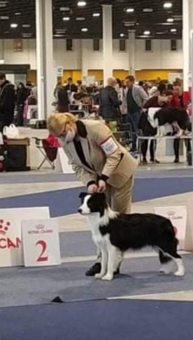 WhatsApp Image 2025-10-06 at 12.45.28 (6)