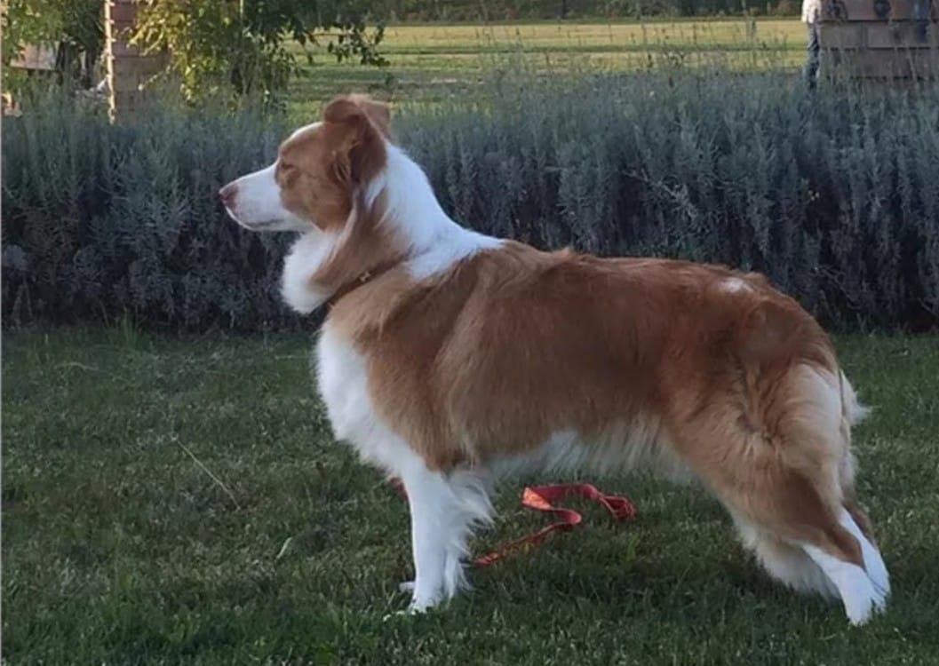 WhatsApp Image 2025-10-06 at 12.45.28 (8)