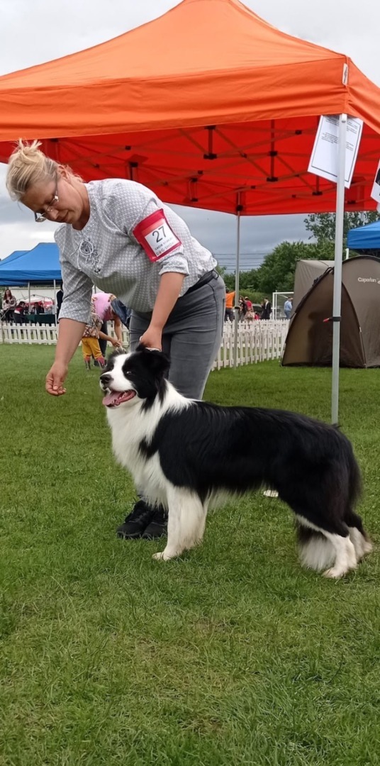 WhatsApp Image 2025-10-06 at 12.45.28