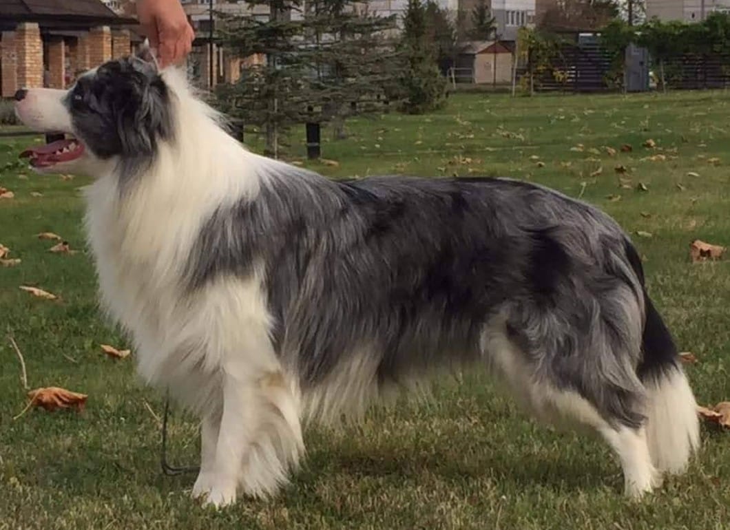 WhatsApp Image 2025-10-06 at 12.45.29