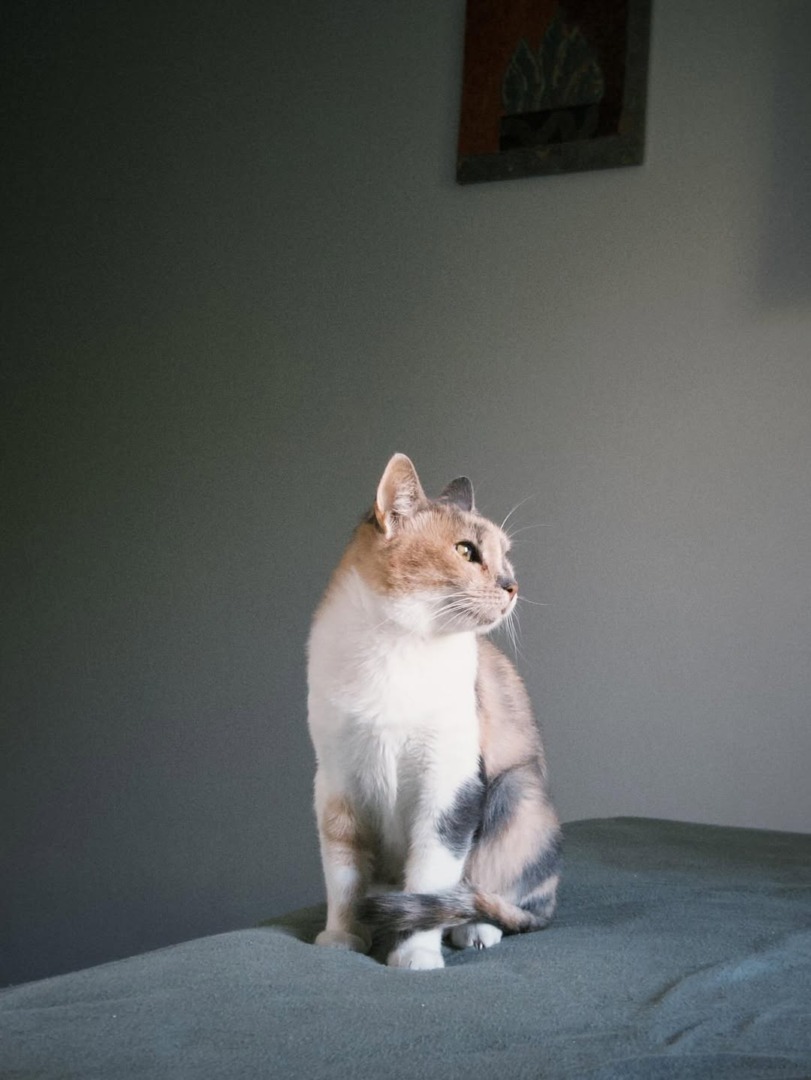 WhatsApp Image 2025-10-09 at 11.24.36 (1)