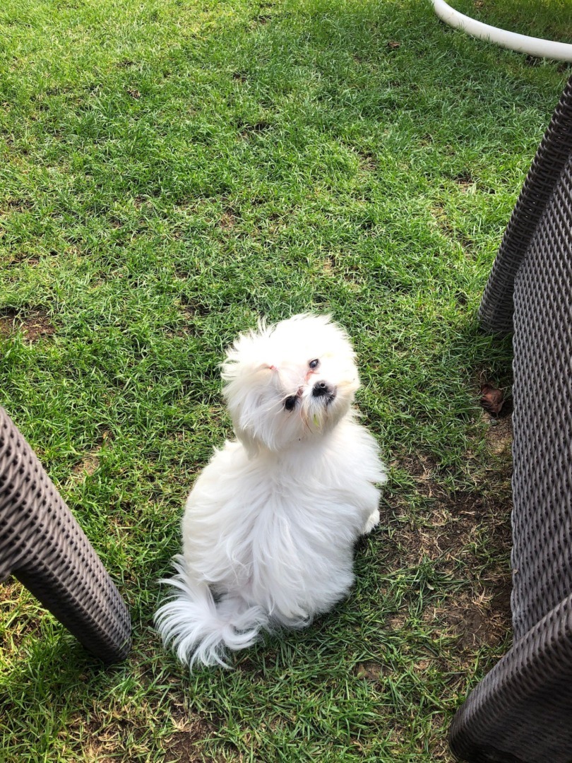 WhatsApp Image 2025-10-17 at 13.03.50 (1)