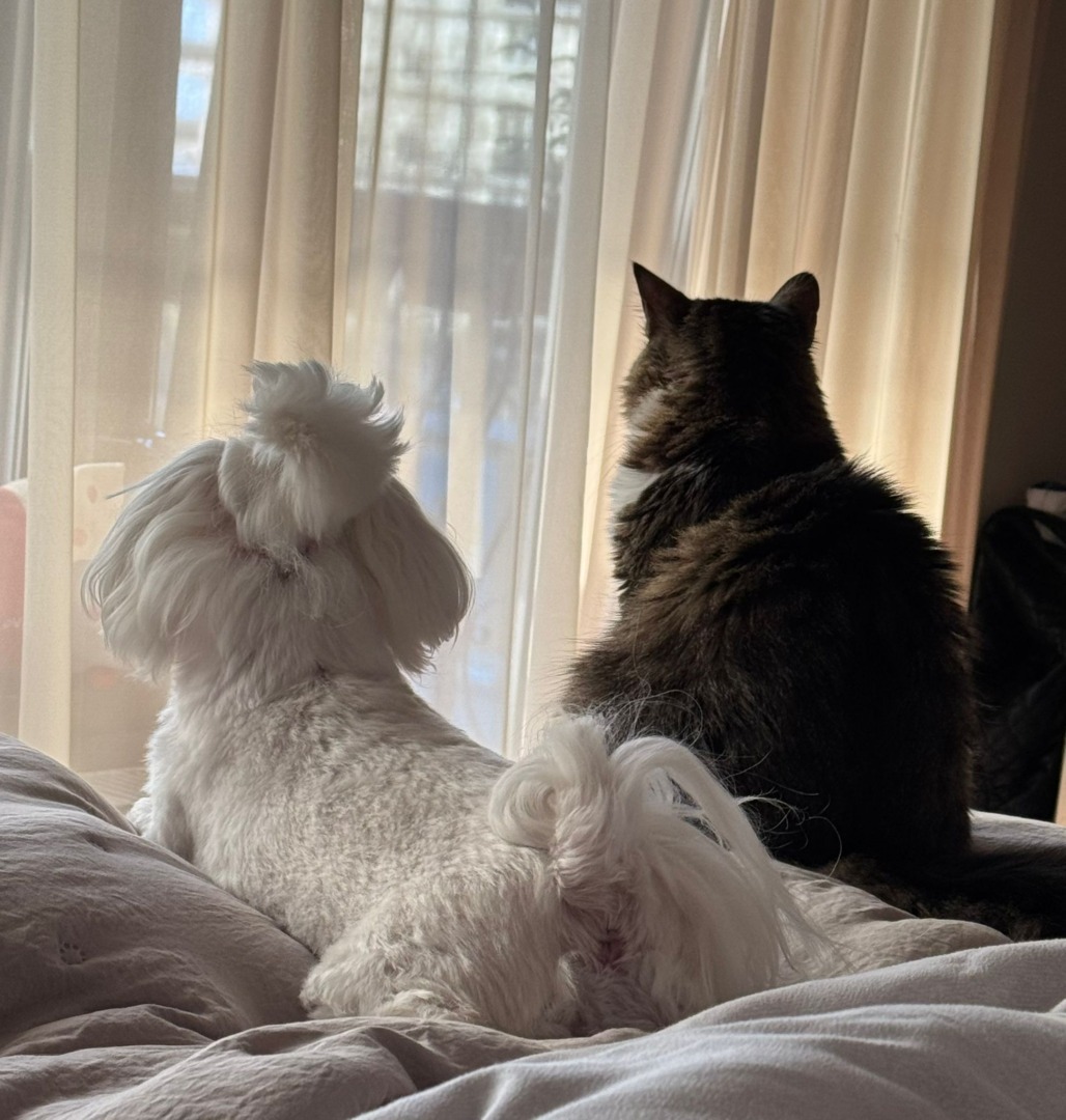 WhatsApp Image 2025-10-17 at 13.03.51 (1)