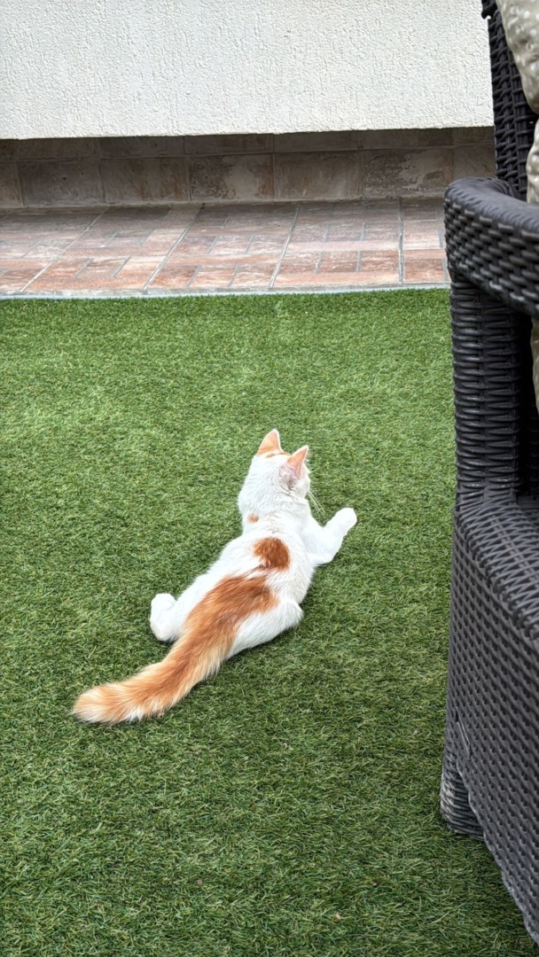 WhatsApp Image 2025-10-17 at 13.03.51 (2)