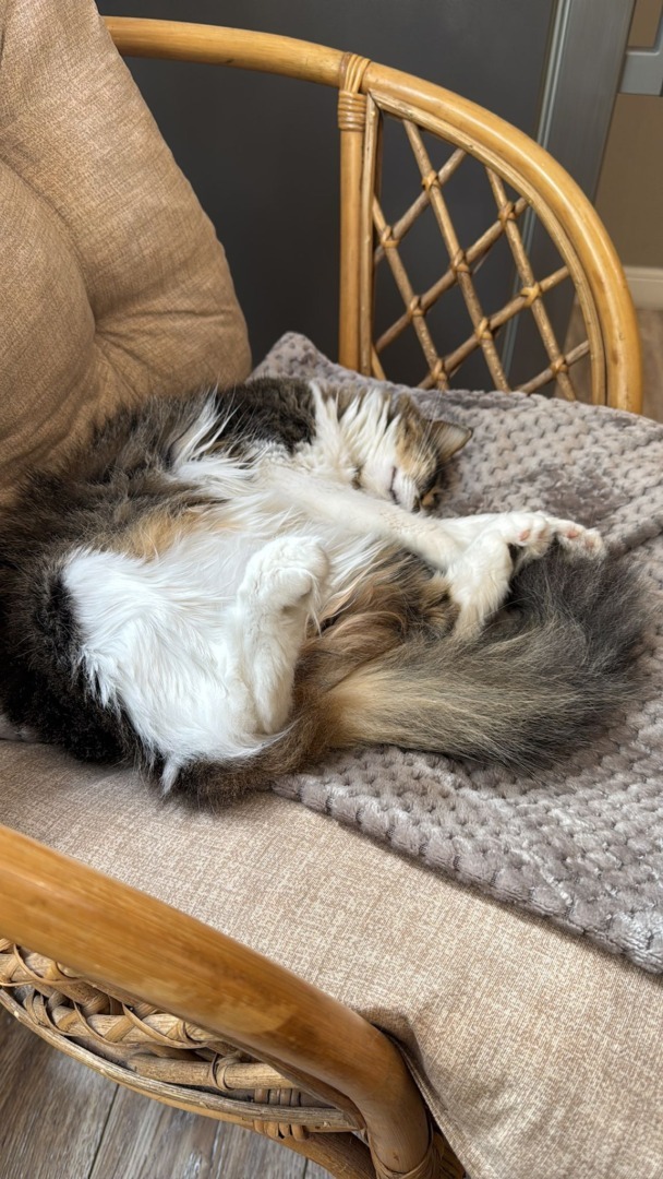 WhatsApp Image 2025-10-17 at 13.03.51 (3)