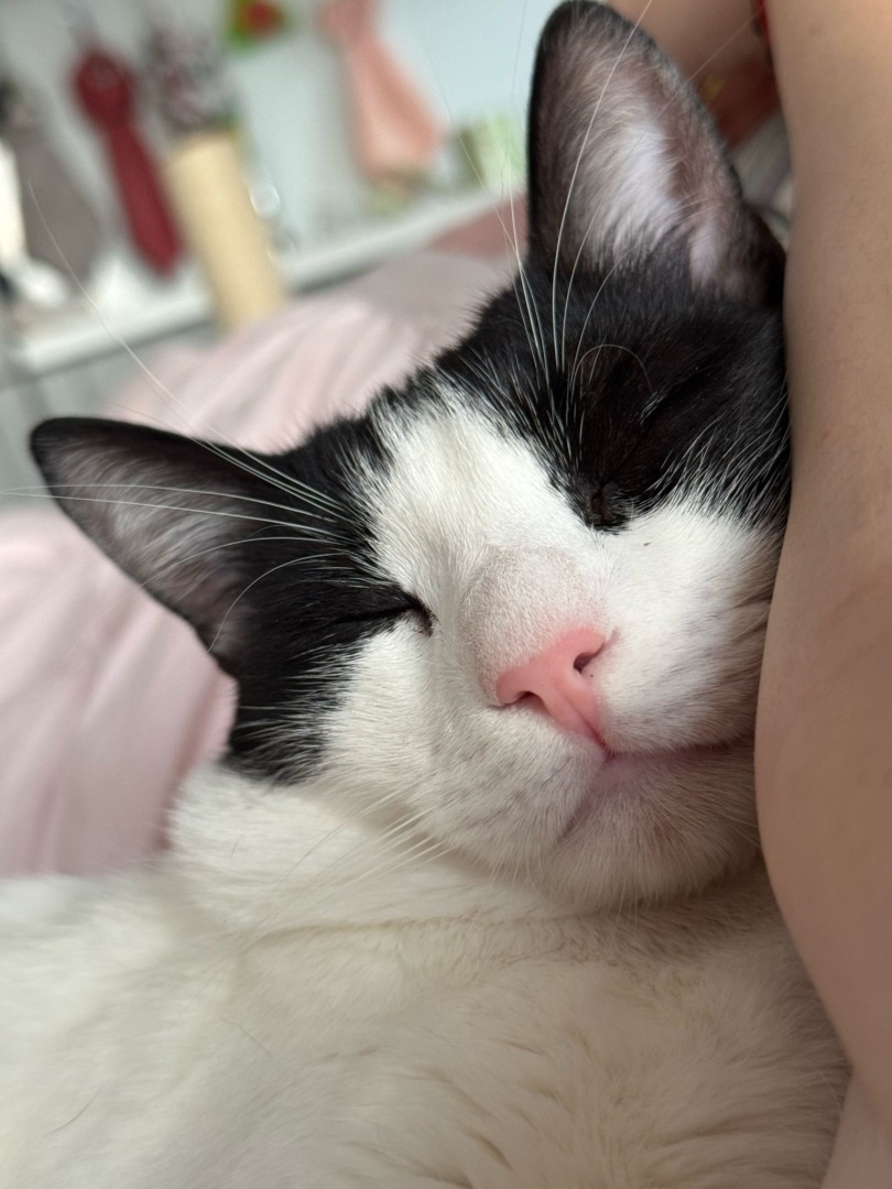 WhatsApp Image 2025-10-17 at 13.03.51 (4)