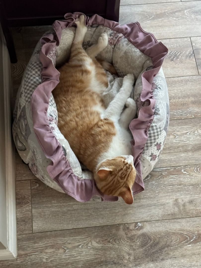 WhatsApp Image 2025-10-17 at 13.03.51