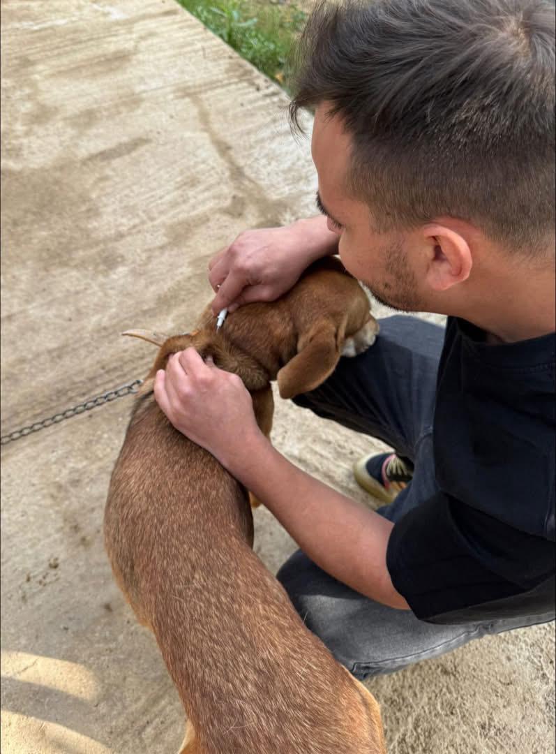 WhatsApp Image 2025-10-19 at 19.52.21 (1)