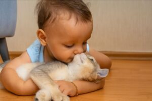 Copilaș cu pisoi alb cu gri