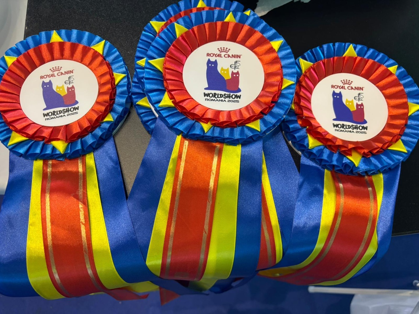 WhatsApp Image 2025-10-25 at 11.18.46