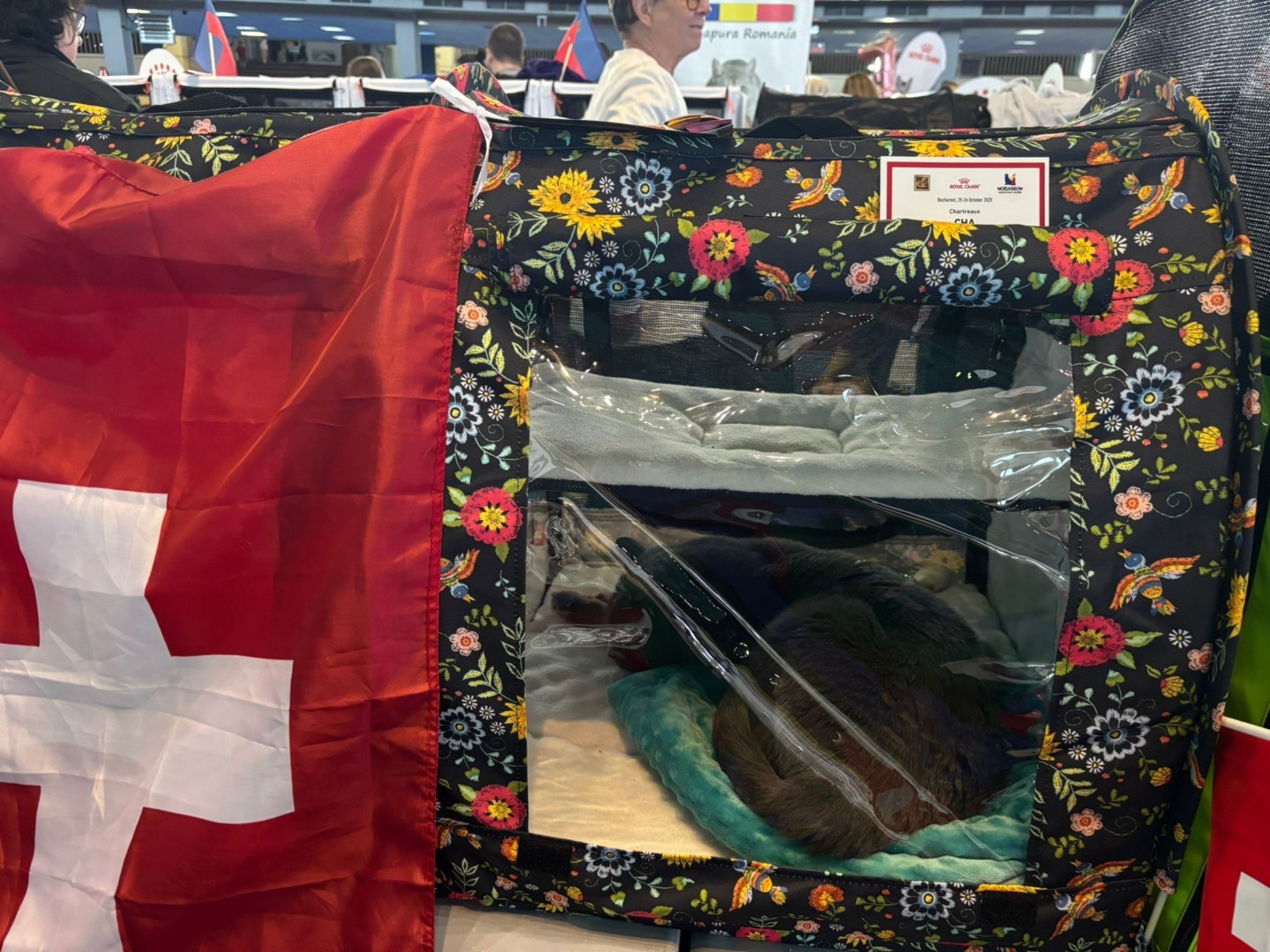 WhatsApp Image 2025-10-25 at 11.20.17