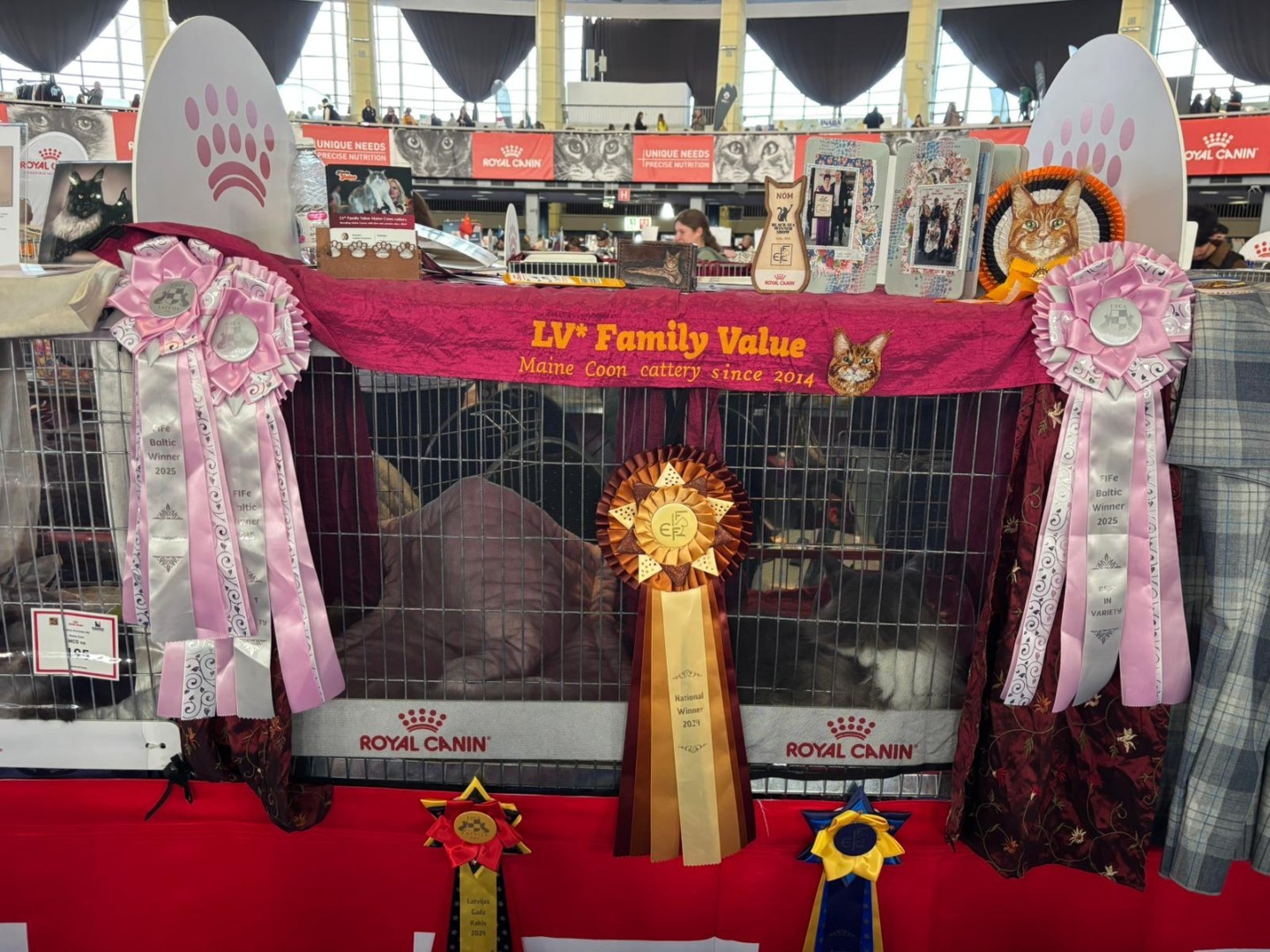 WhatsApp Image 2025-10-25 at 11.21.03