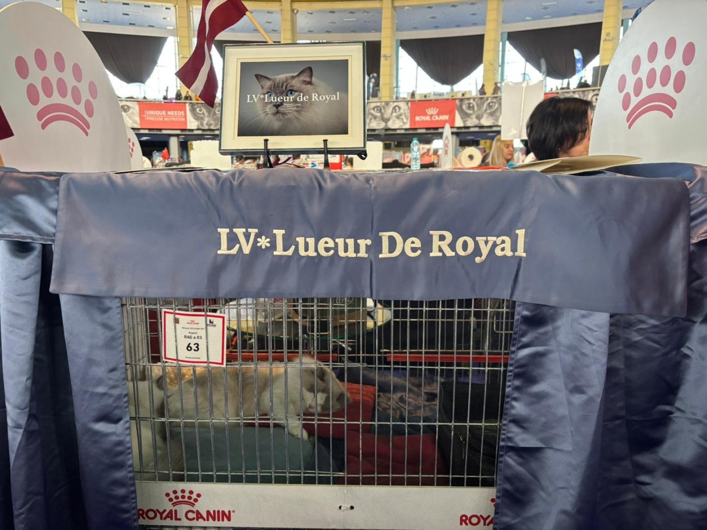 WhatsApp Image 2025-10-25 at 11.21.35